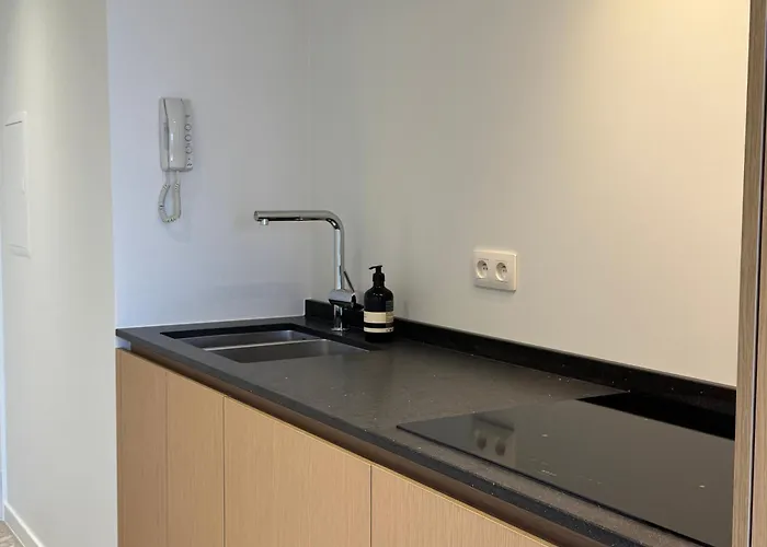 La Lagune - Luxueux Face A La Ideal Pour Un Couple Calme A Oostduinkerke By La Conciergerie * Koksijde